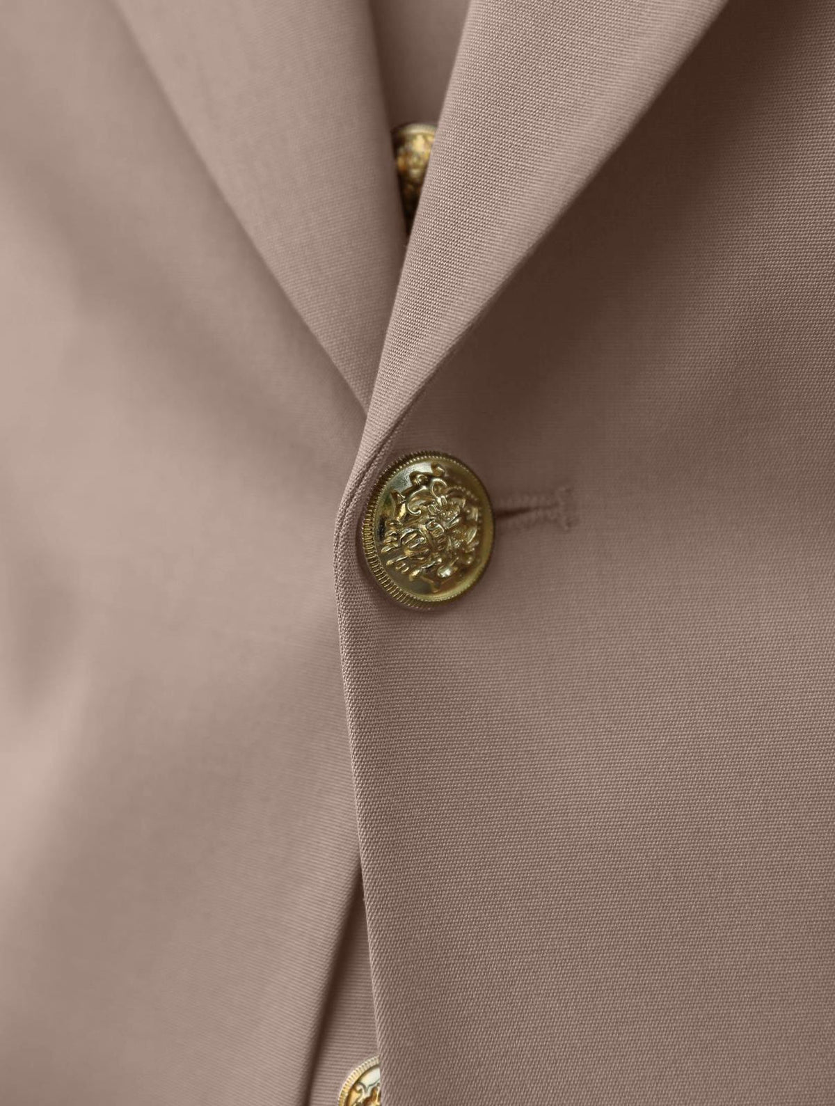 Forest Road - MrGuild